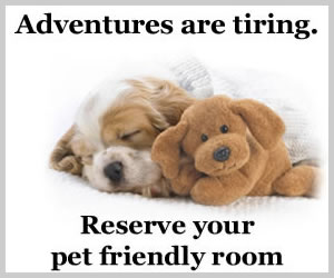 Find a pet friendly hotel at PetTravel.com